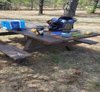 Camper-submitted photo from Horseshoe Lake Campground