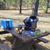 Review photo of Horseshoe Lake Campground by Al J., May 1, 2021