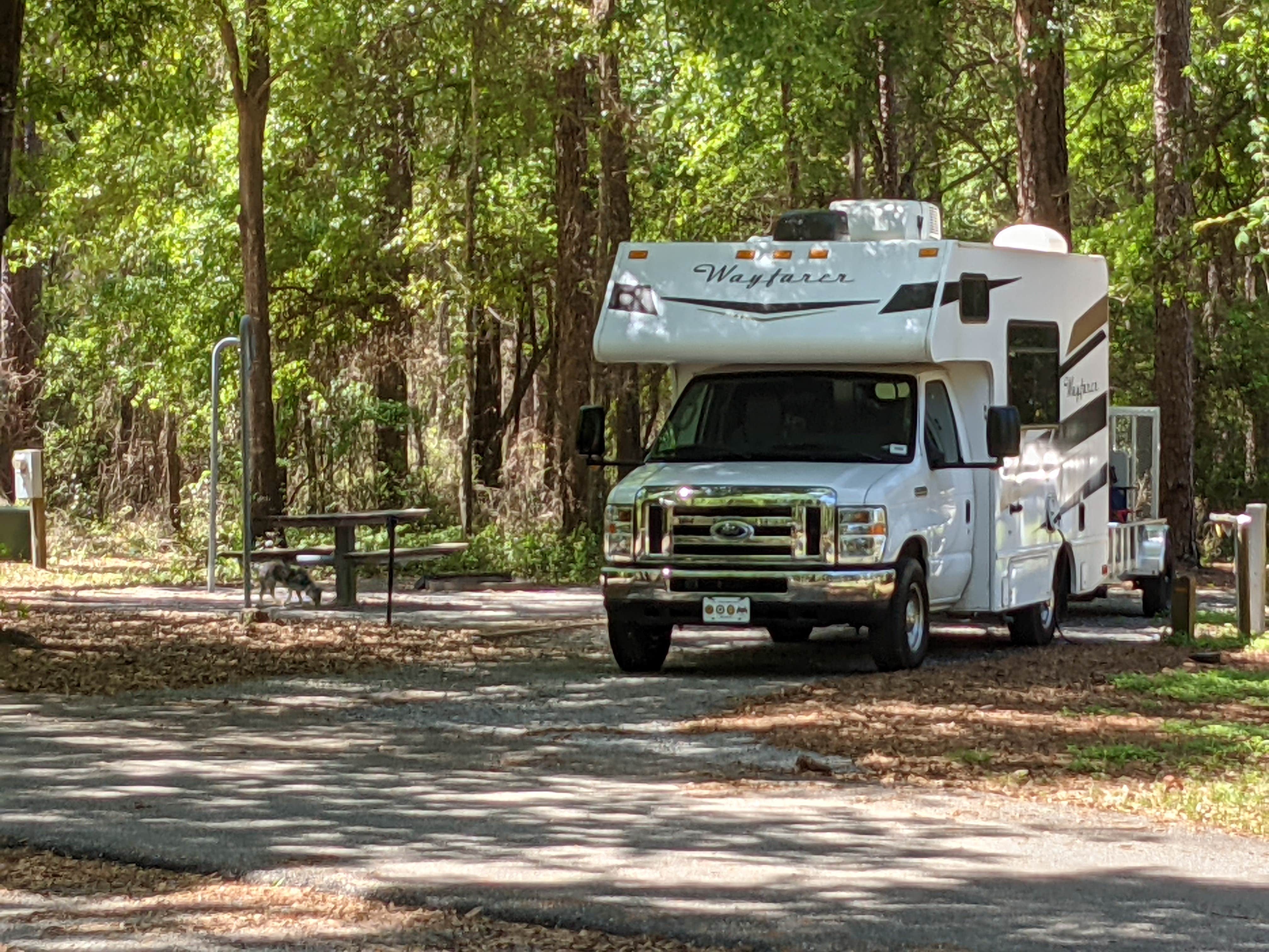Camper submitted image from Open Pond Recreation Area - 3
