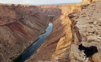 Jeanie P.'s photo of camping with pets at Soap Creek - Dispersed Camping in Arizona