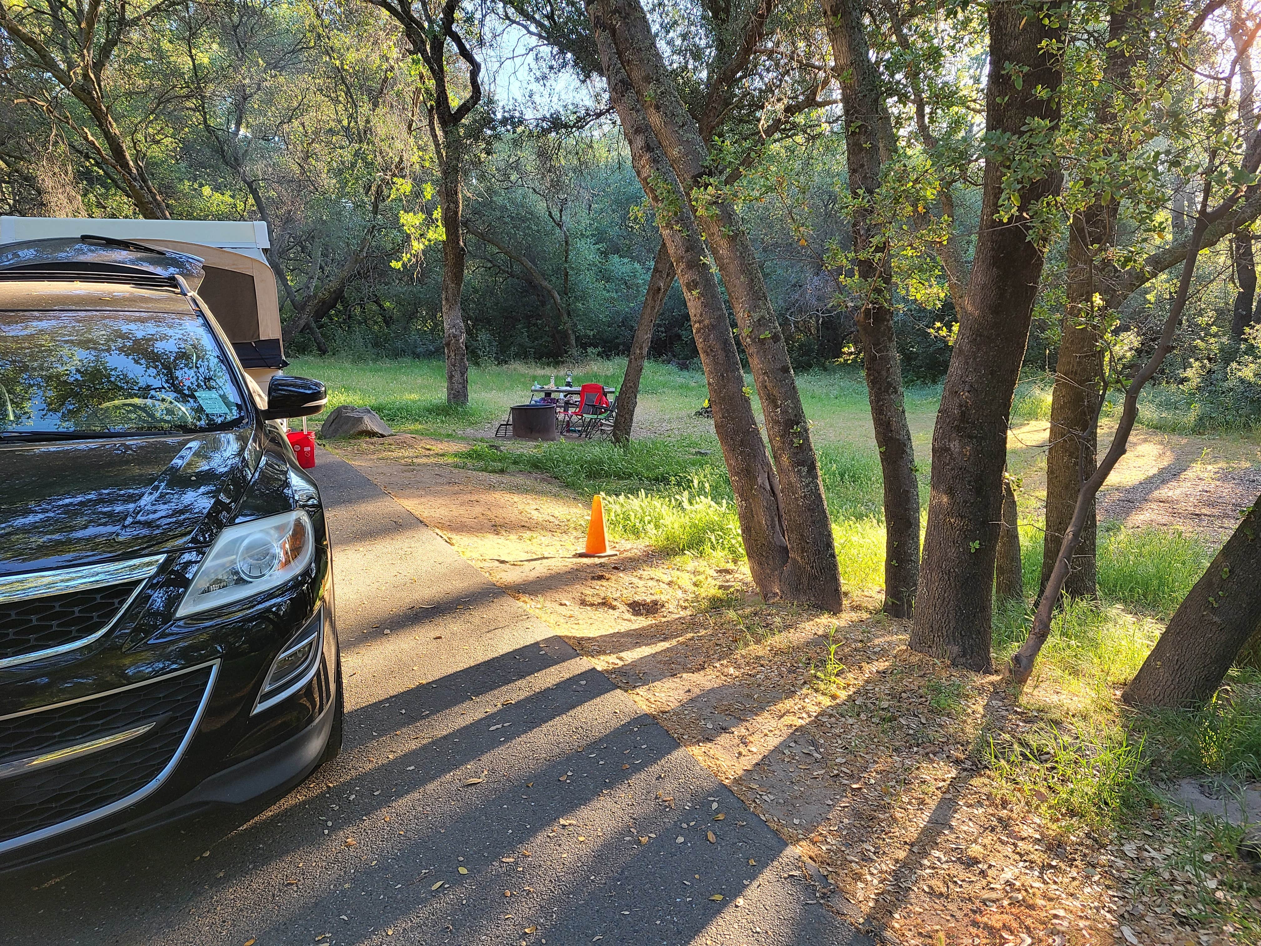 Camper submitted image from Beals Point Campground — Folsom Lake State Recreation Area - 1