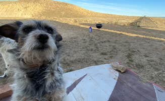 Jeff N.'s photo of camping with pets at North Fruita Desert Upper Campground near Fruita, CO