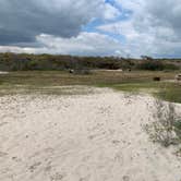 Review photo of Assateague Island National Seashore Oceanside Campground by Alexandra T., May 1, 2021