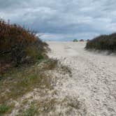 Review photo of Assateague Island National Seashore Oceanside Campground by Alexandra T., May 1, 2021