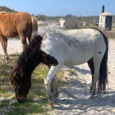 Review photo of Oceanside Assateague Campground — Assateague Island National Seashore by Alexandra T., May 1, 2021