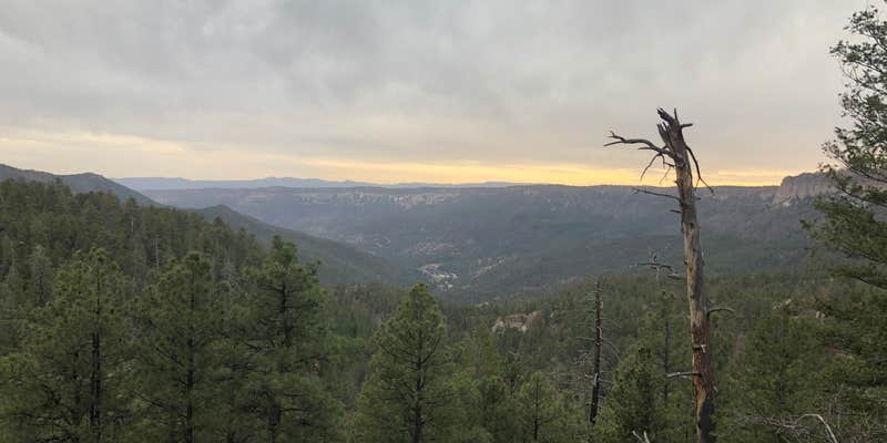 Camper submitted image from Dispersed on 4 - Fenton Lake State Park