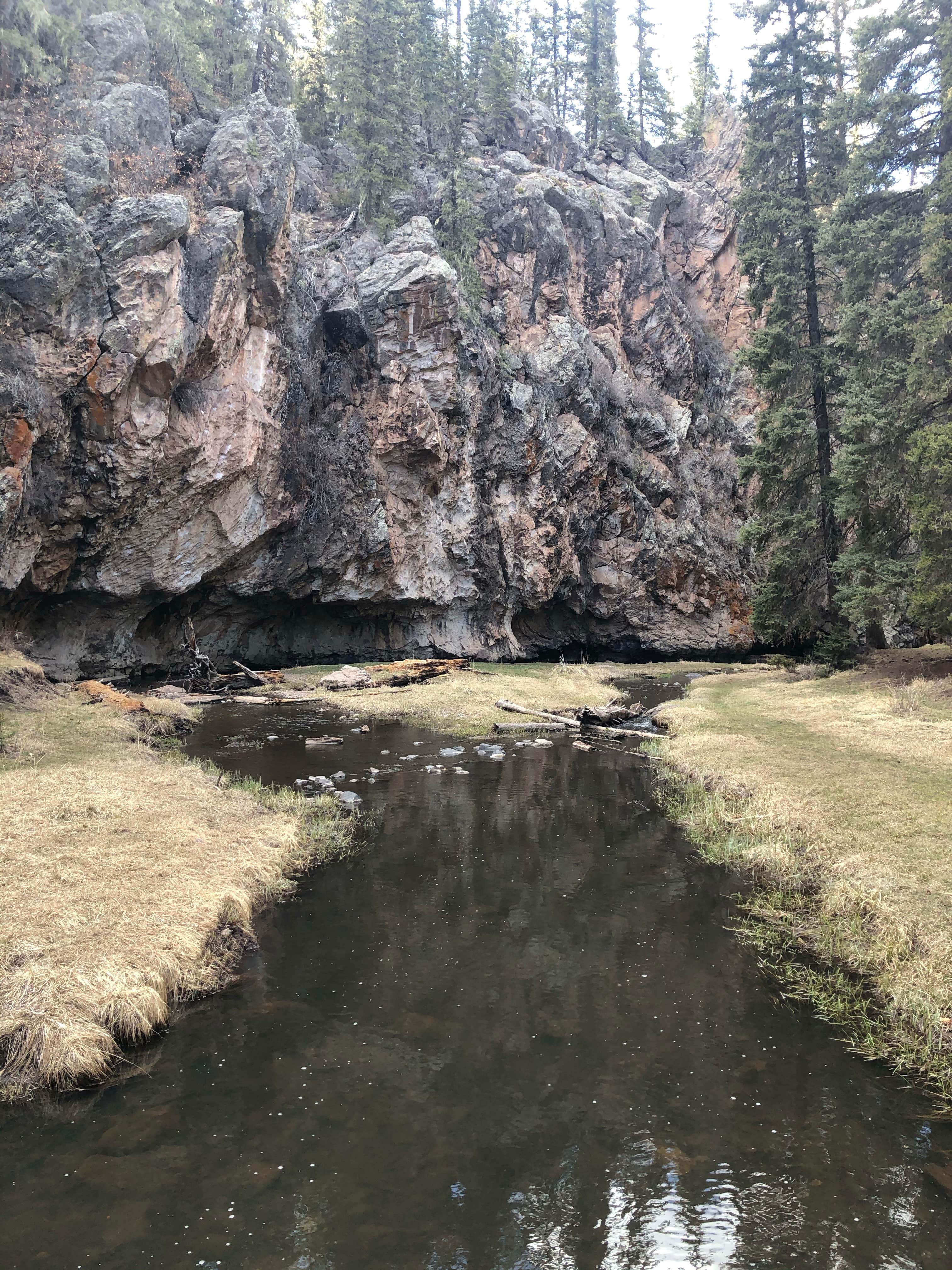 Camper submitted image from Dispersed on 4 - Fenton Lake State Park - 2