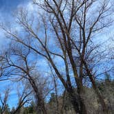 Review photo of Ouzel by Tammy O., May 1, 2021
