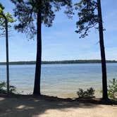 Review photo of Petersburg - J Strom Thurmond Lake by Kevin H., May 1, 2021