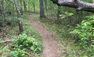 Katrin S.'s photo of camping with pets at Noccalula Falls Park & Campground - TEMPORARILY CLOSED near Jacksonville, AL