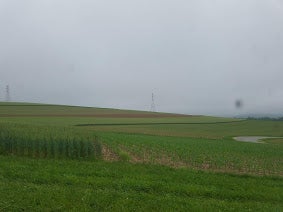 fields/farm across from main entrance