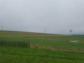 fields/farm across from main entrance