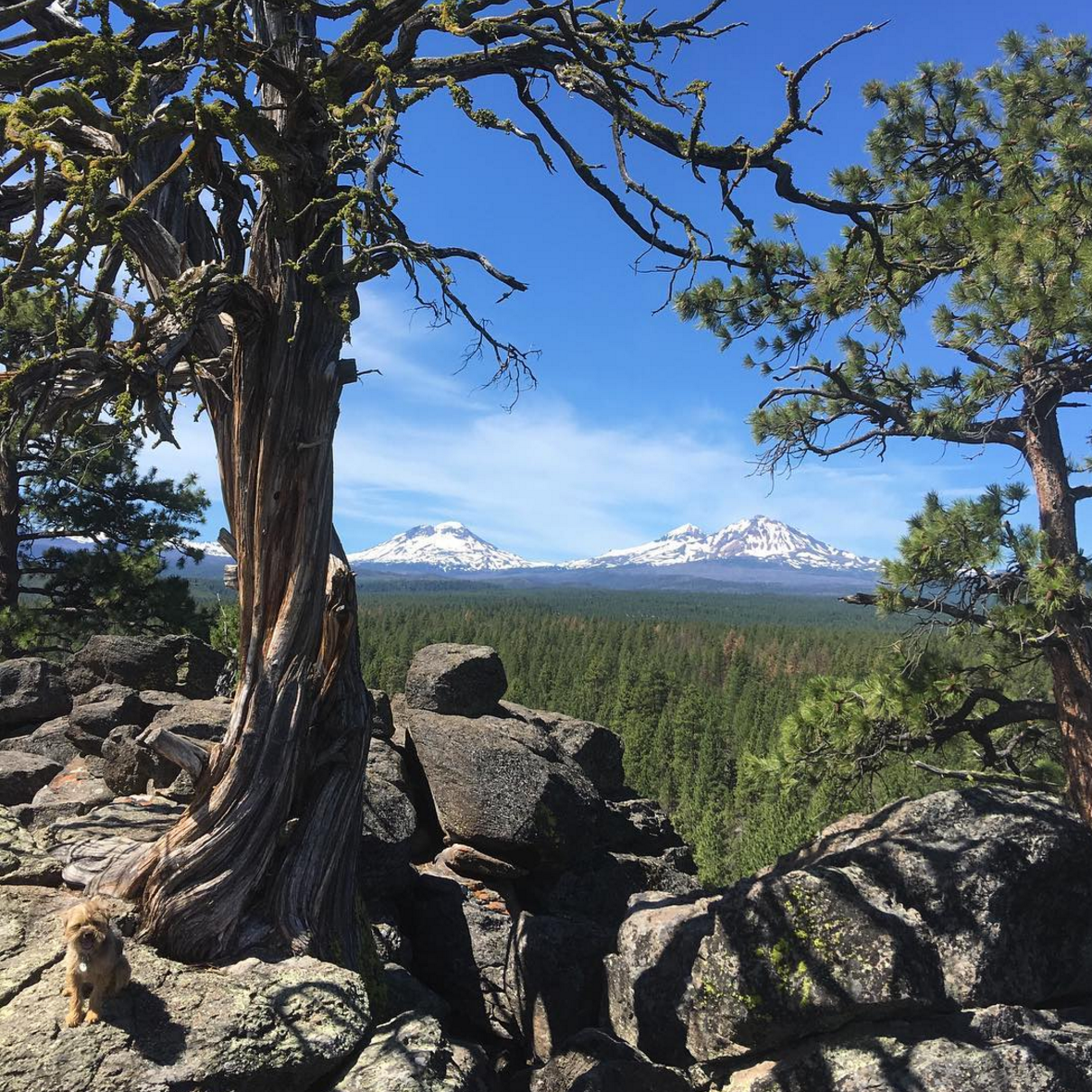 Camper-submitted photo at Creekside Sisters City Park near Redmond, OR