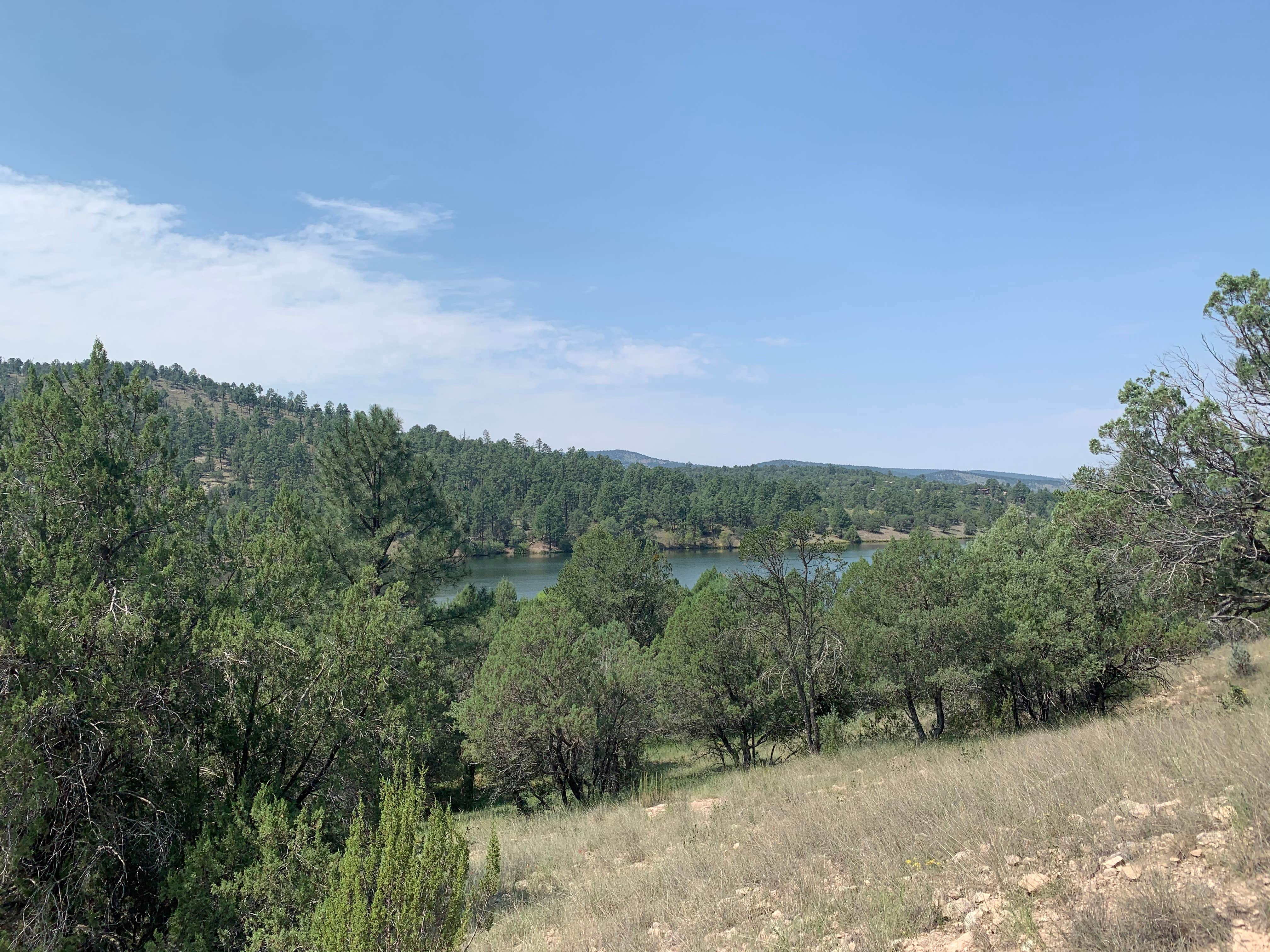 View All