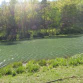 Review photo of Tar Hollow State Park Campground by Lisa S., May 2, 2021