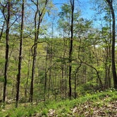 Review photo of Tar Hollow State Park Campground by Lisa S., May 2, 2021