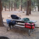 Review photo of North Rim Campground — Grand Canyon National Park by Linda H., June 1, 2018