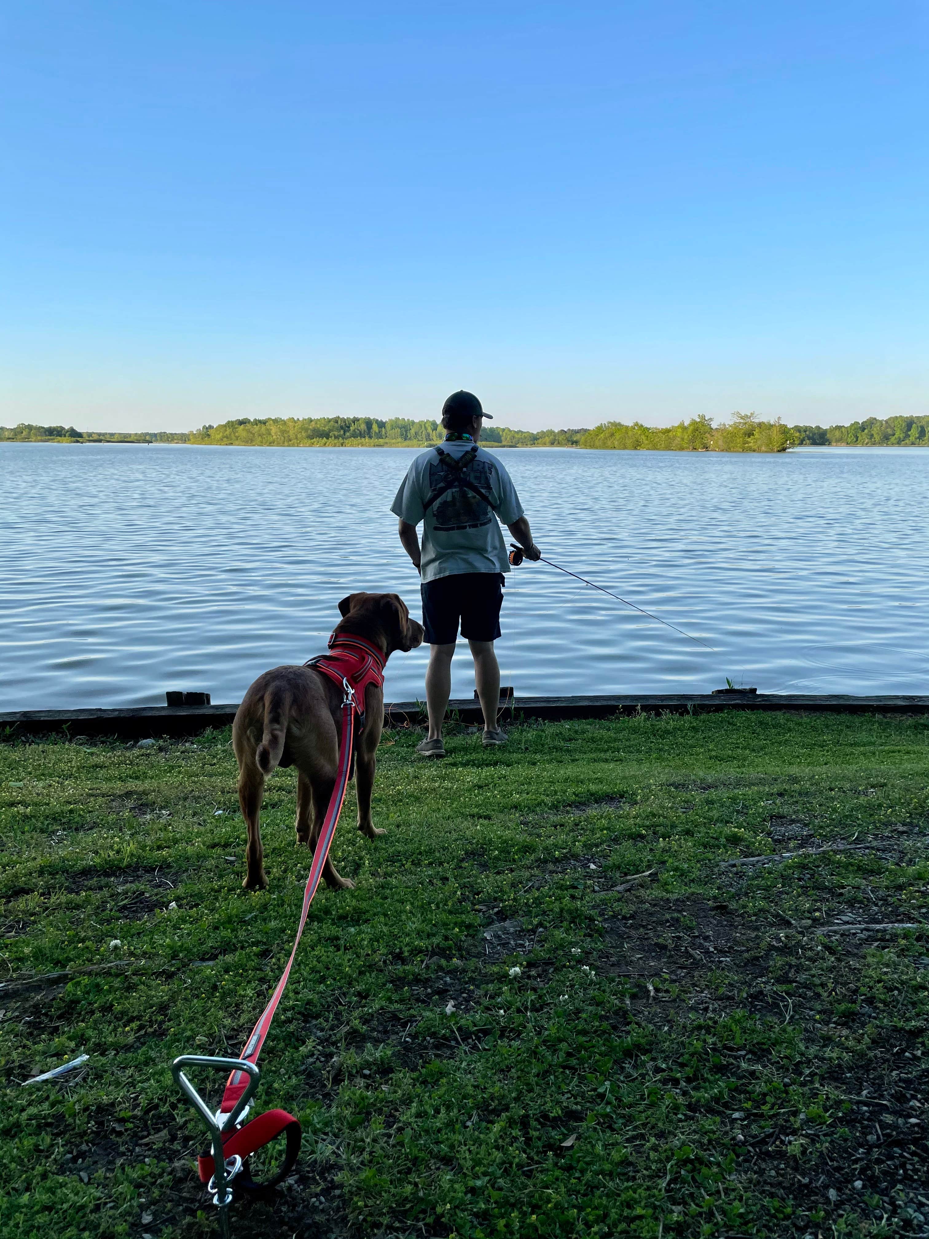 Allie T.'s photo of camping with pets at Blue Bluff Campground (aberdeen Ms) near Tennessee-Tombigbee Waterway