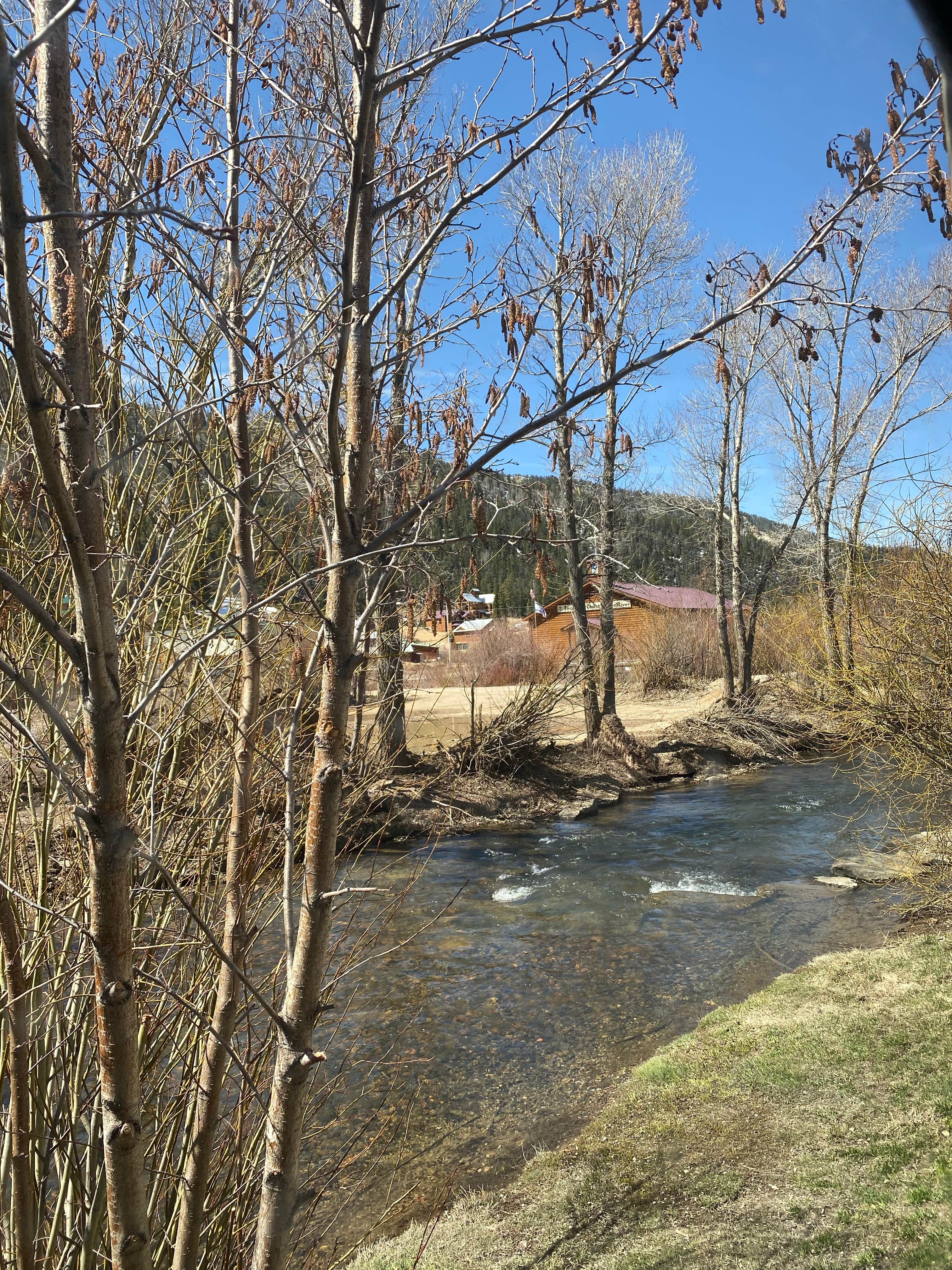 View All