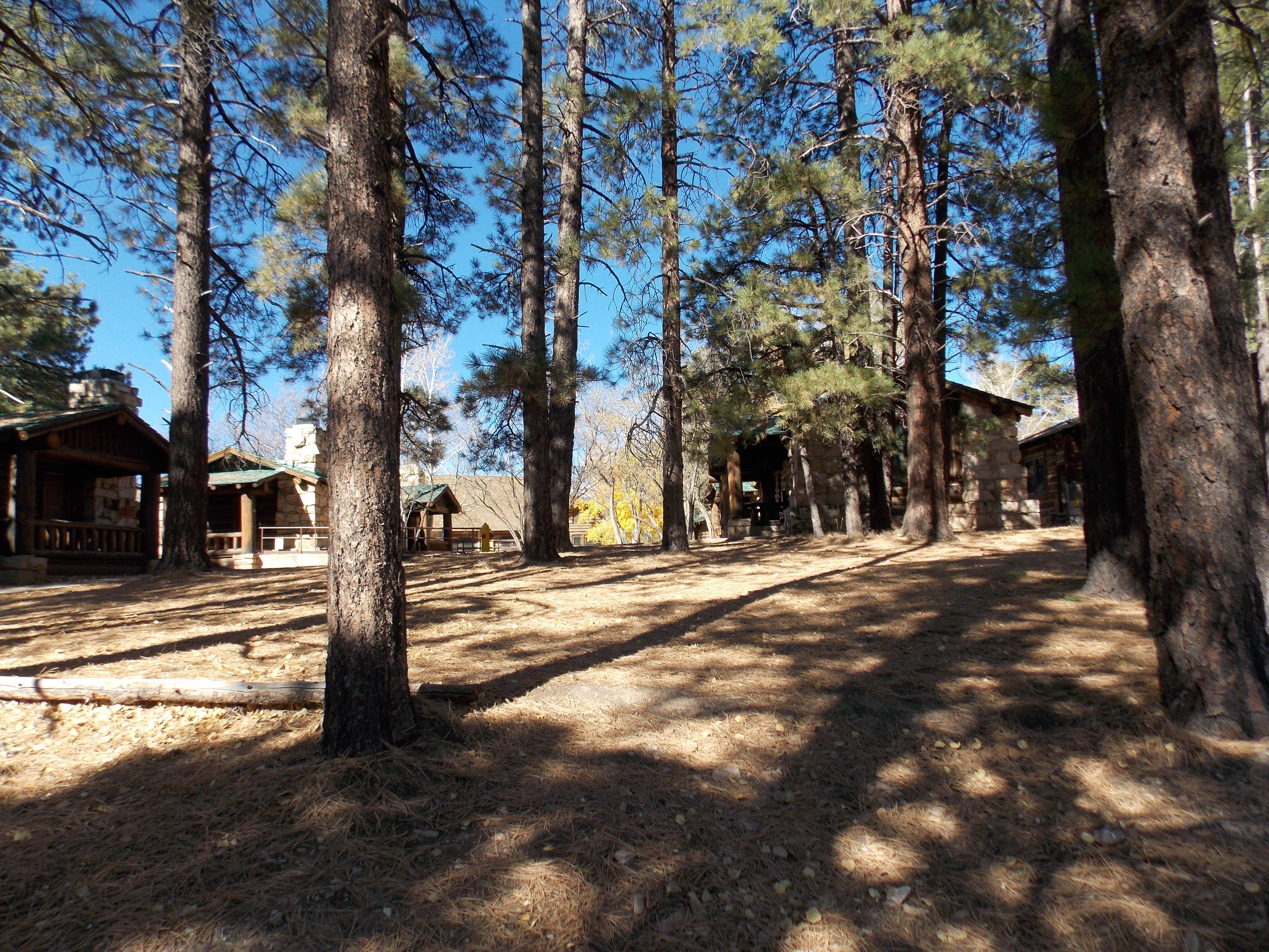 Linda H.'s photo of glamping accommodations at North Rim Campground (Closed for Remainder of 2025)— Grand Canyon National Park near Supai, AZ