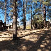 Review photo of North Rim Campground — Grand Canyon National Park by Linda H., June 1, 2018