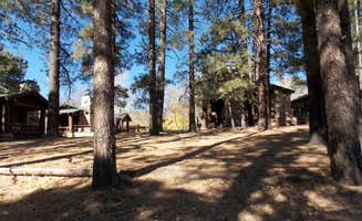 Linda H.'s photo of glamping accommodations at North Rim Campground (Closed for Remainder of 2025)— Grand Canyon National Park near Kaibab National Forest