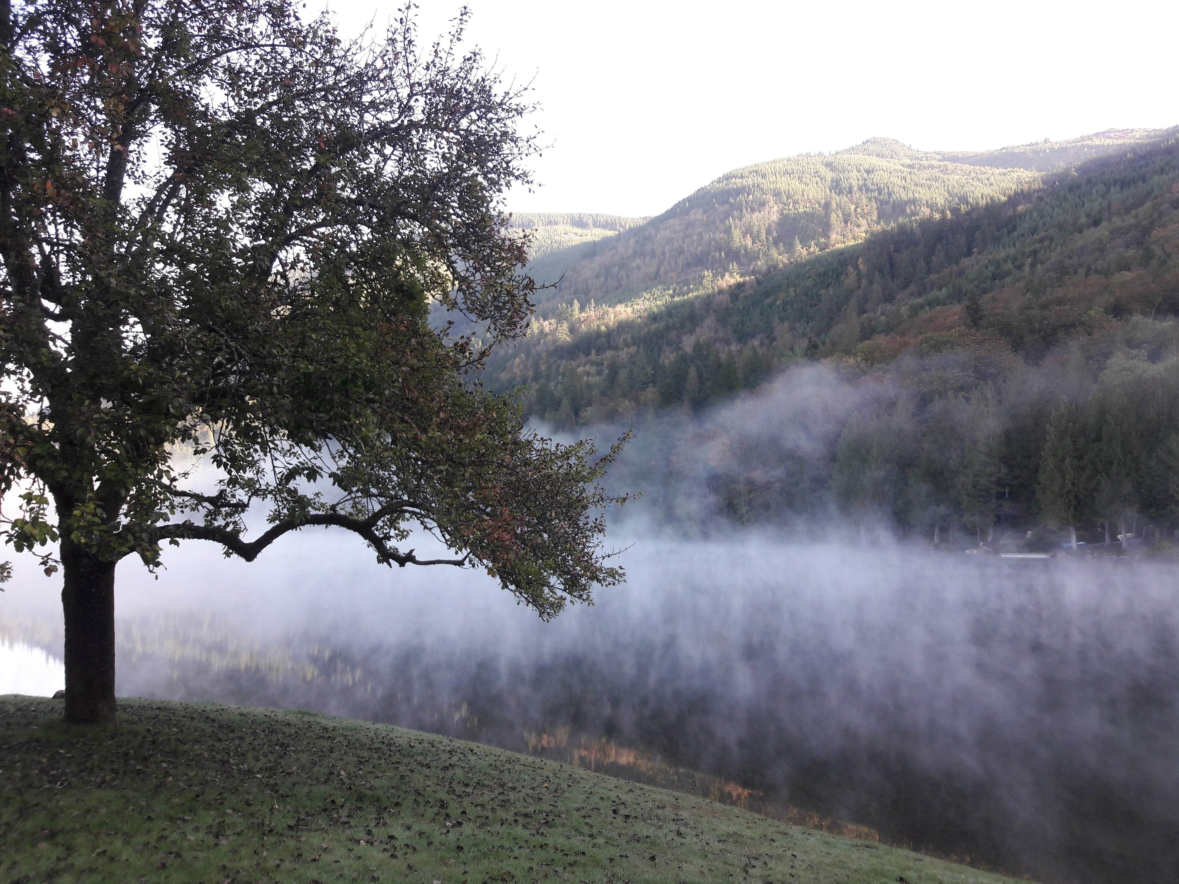 Camper-submitted photo at Silver Lake County Park near Sumas, WA