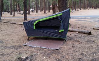 Linda H.'s photo at North Rim Campground (Closed for Remainder of 2025)— Grand Canyon National Park near Grand Canyon National Park