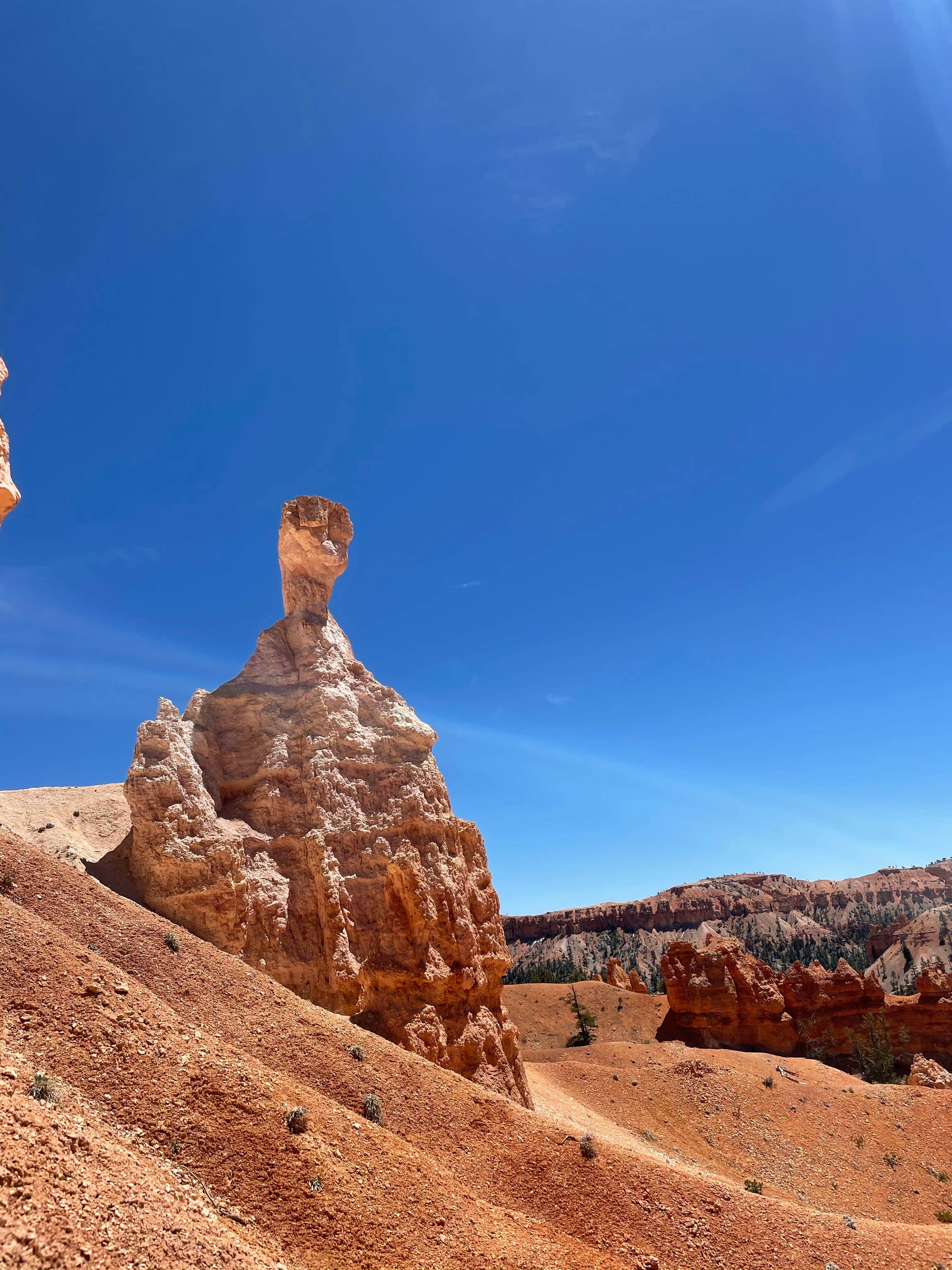Camping near FR646 - Bryce Dispersed Site: Forest Rd 294 Dispersed - Dixie National Forest, Fern Ridge Lake, Utah