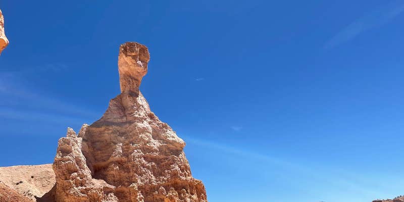 Camper submitted image from Forest Rd 294 Dispersed - Dixie National Forest