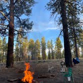 Review photo of Forest Rd 294 Dispersed - Dixie National Forest by Lea  S., May 2, 2021