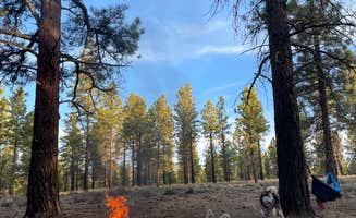 Lea  S.'s photo at Forest Rd 294 Dispersed - Dixie National Forest in Utah