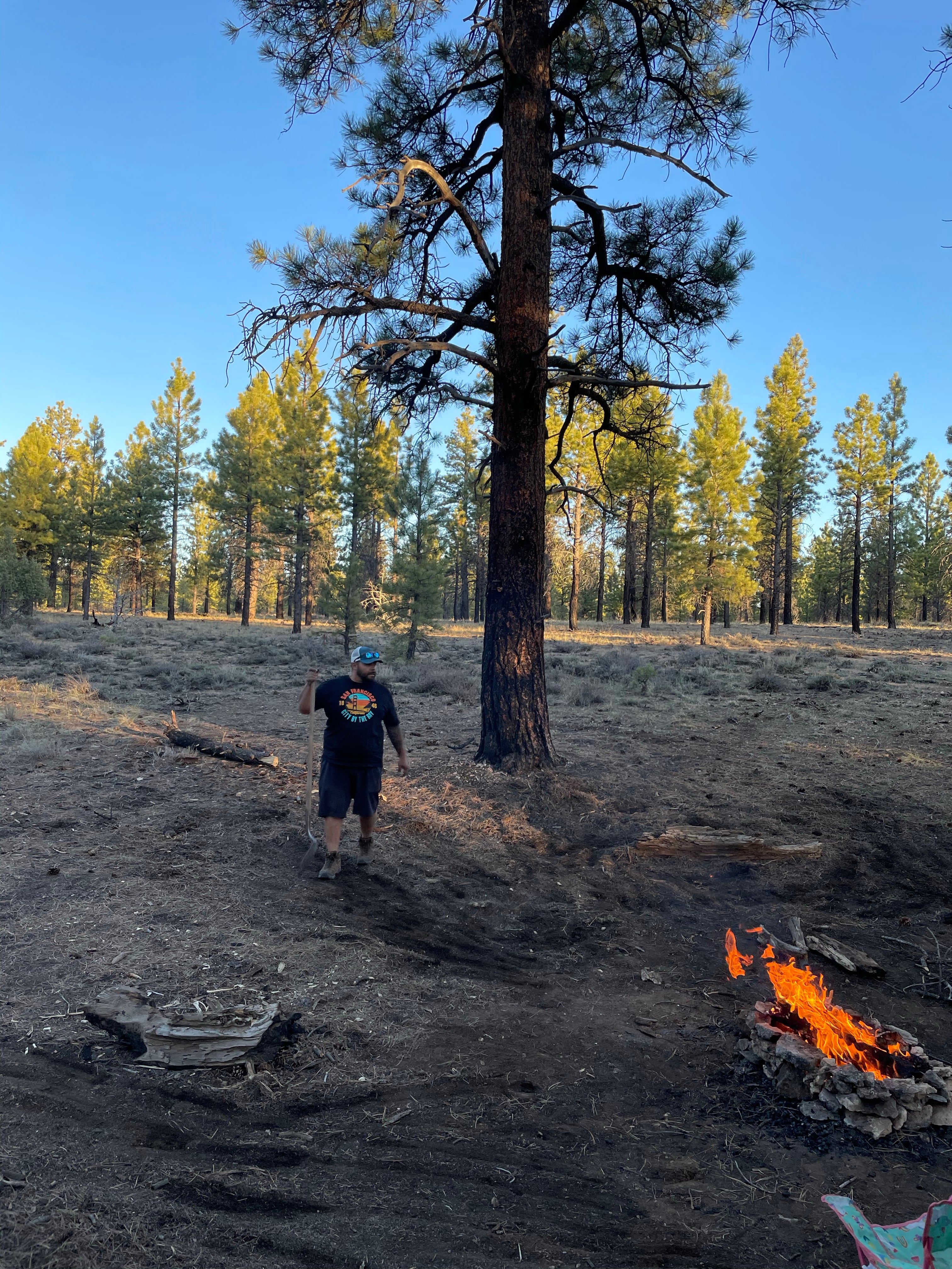 Camper submitted image from Forest Rd 294 Dispersed - Dixie National Forest - 3