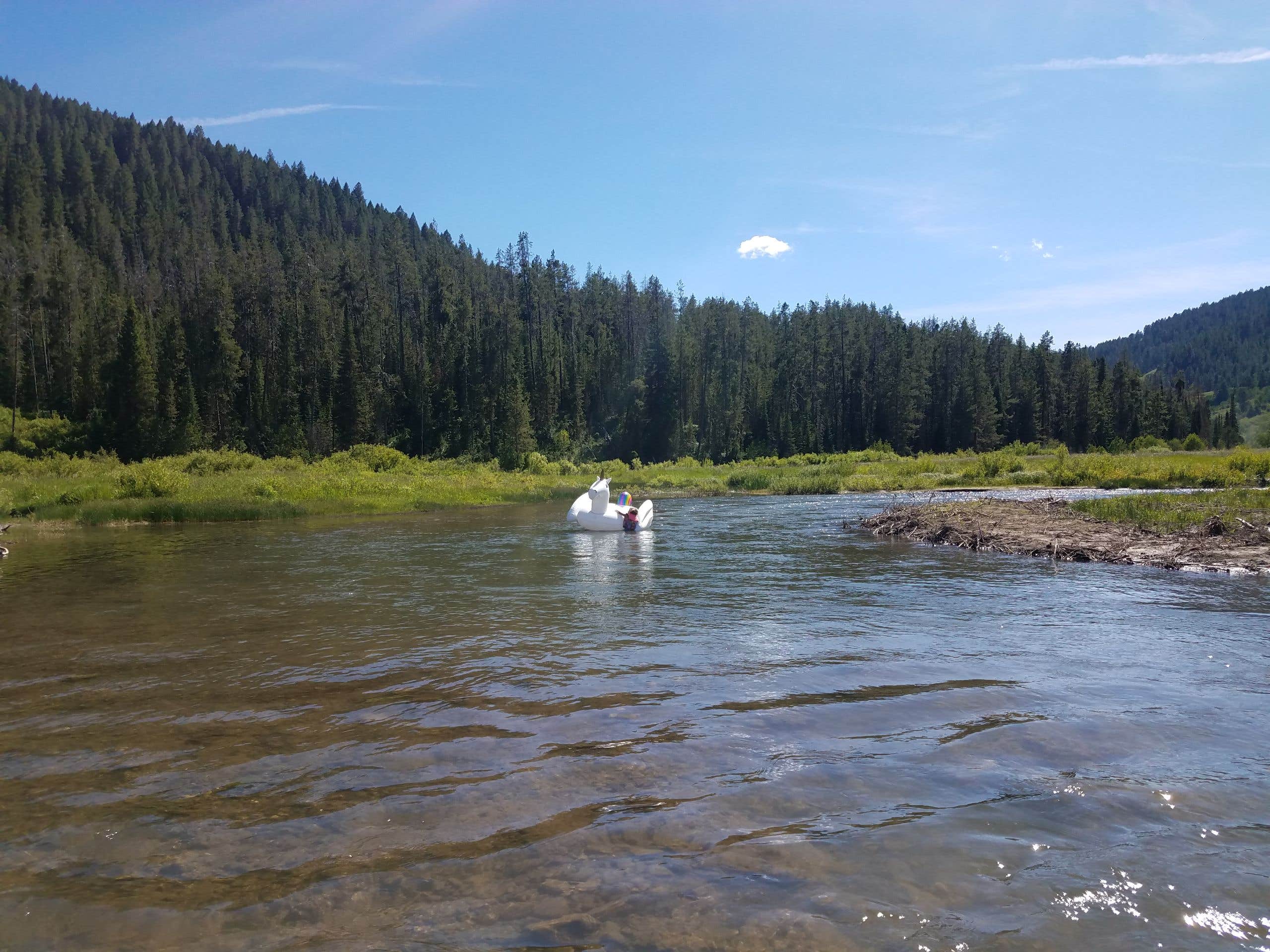 Camper-submitted photo at Mccoy Creek Campground near Smoot, WY