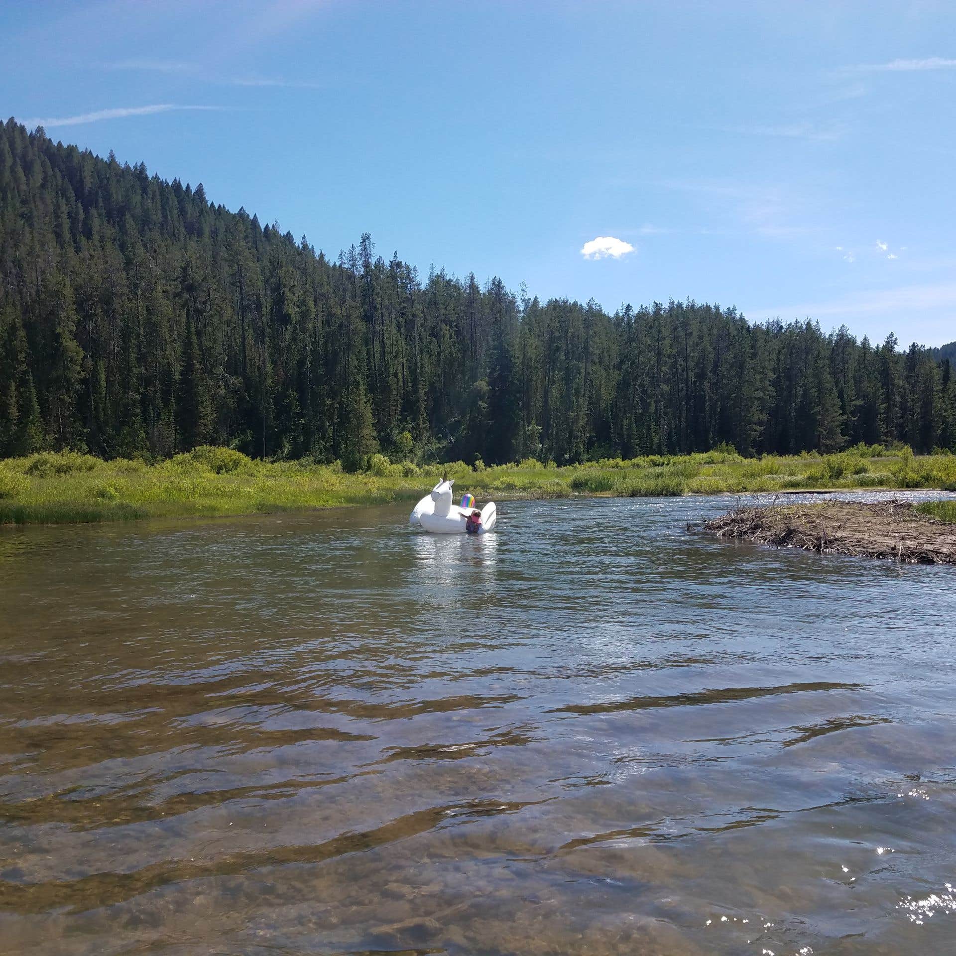 Escape To Idaho’s Hidden Gem: McCoy Creek Campground