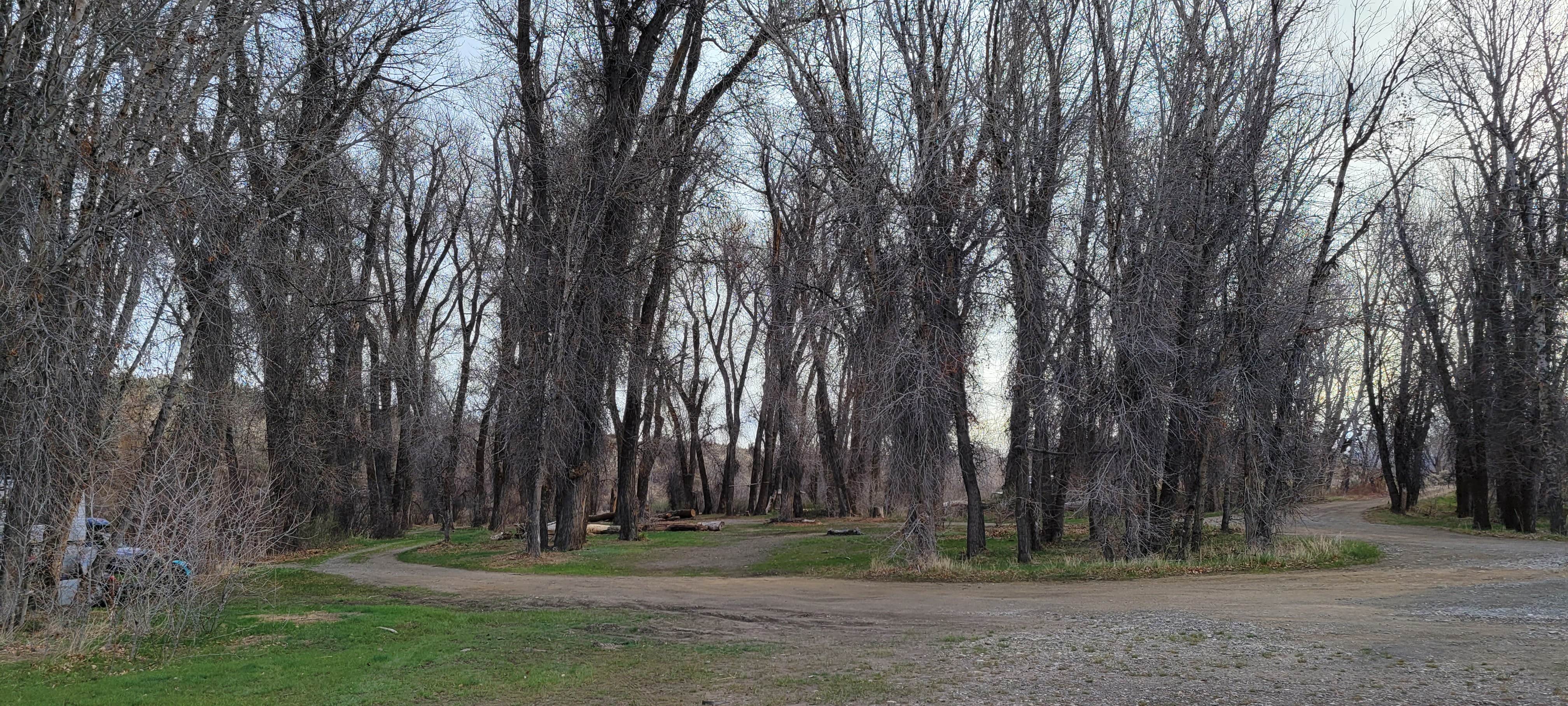 Camper-submitted photo at Stanton Crossing near Fairfield, ID