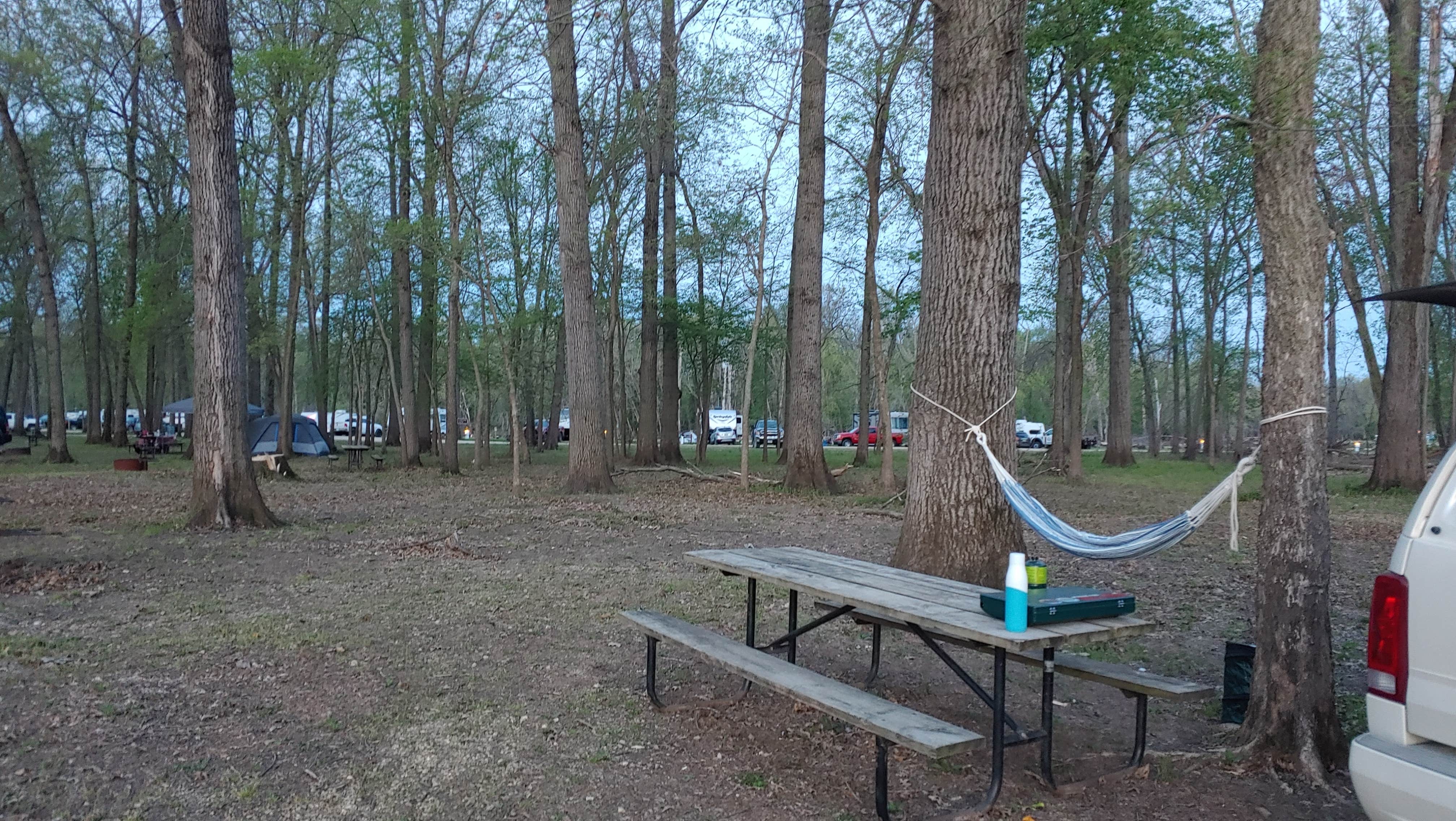 Camper submitted image from Rock Creek County Marina and Campground - 3
