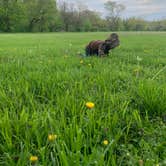 Review photo of Elkhorn Campground by Marissa G., May 2, 2021