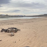 Review photo of Lone Rock Beach Primitive Camping Area — Glen Canyon National Recreation Area by brian B., May 2, 2021