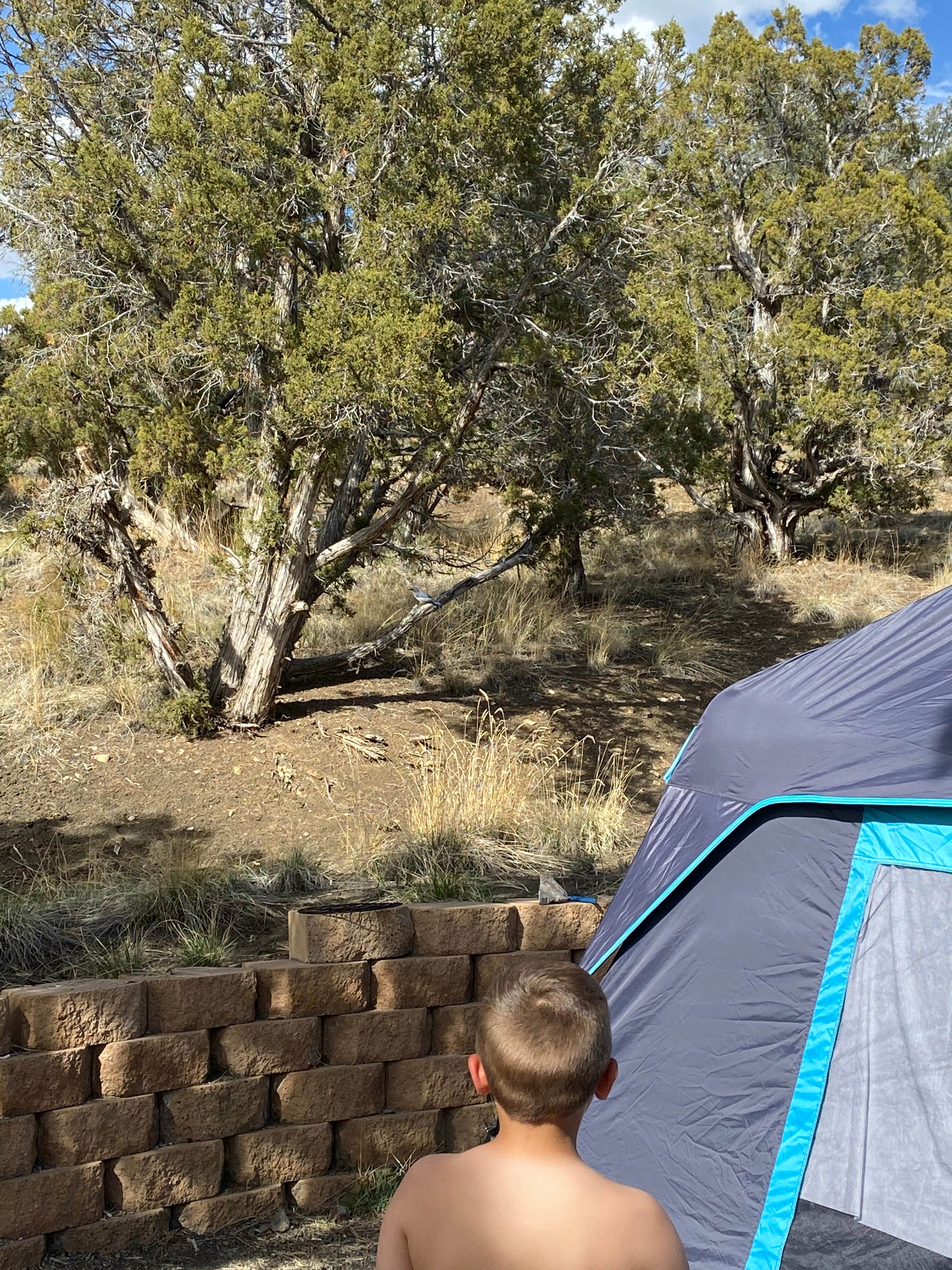 Brittney  C.'s photo at Elk Flat Campground — Cave Lake State Park near Great Basin National Park