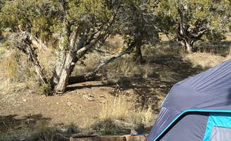 Brittney C.'s photo at Elk Flat Campground — Cave Lake State Park near Ruth, NV