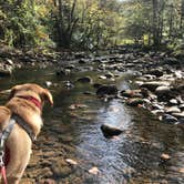 Review photo of Greenbrier Campground by m M., June 1, 2018