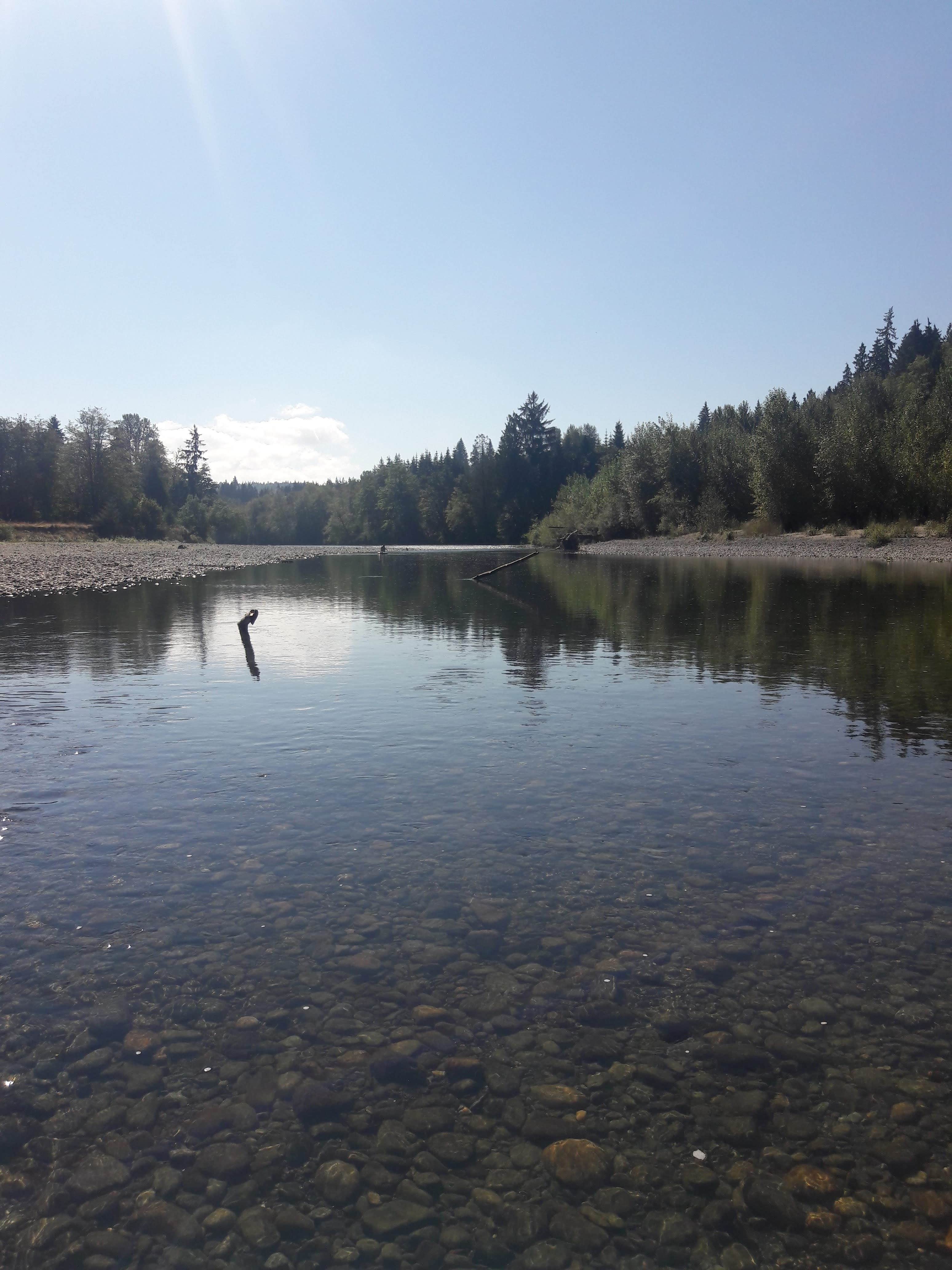 Camper-submitted photo at River Meadows Park near Marysville, WA