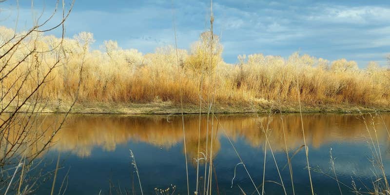 Camper submitted image from Cottonwood Campground