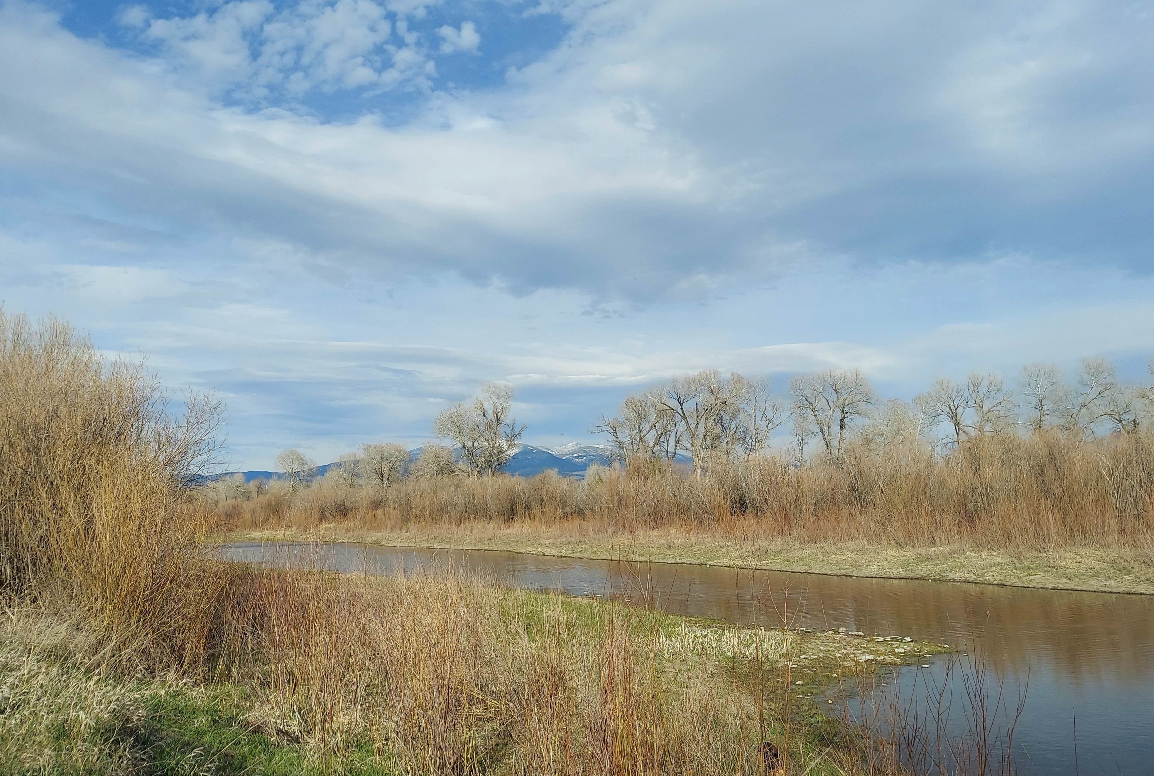 Camper-submitted photo at Cottonwood Campground near Townsend, MT