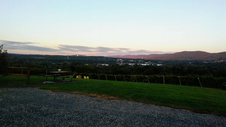 the view from the winery across the street is just awesome. 