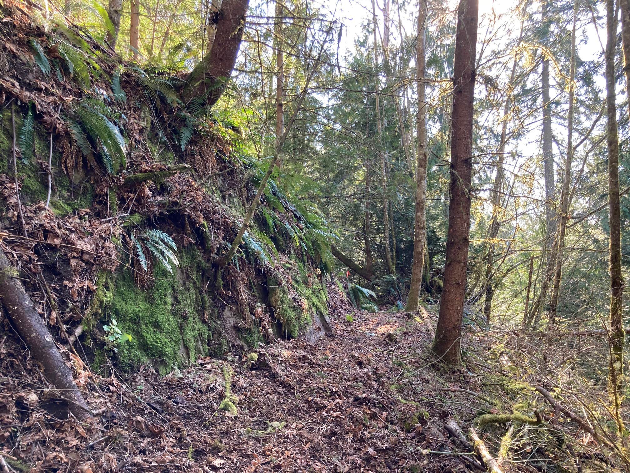Rusty Ranch Cabin & Corral