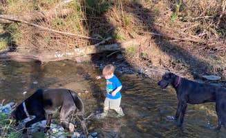 Margaret H.'s photo of camping with pets at Rusty Ranch Cabin & Corral near Lummi Island, WA
