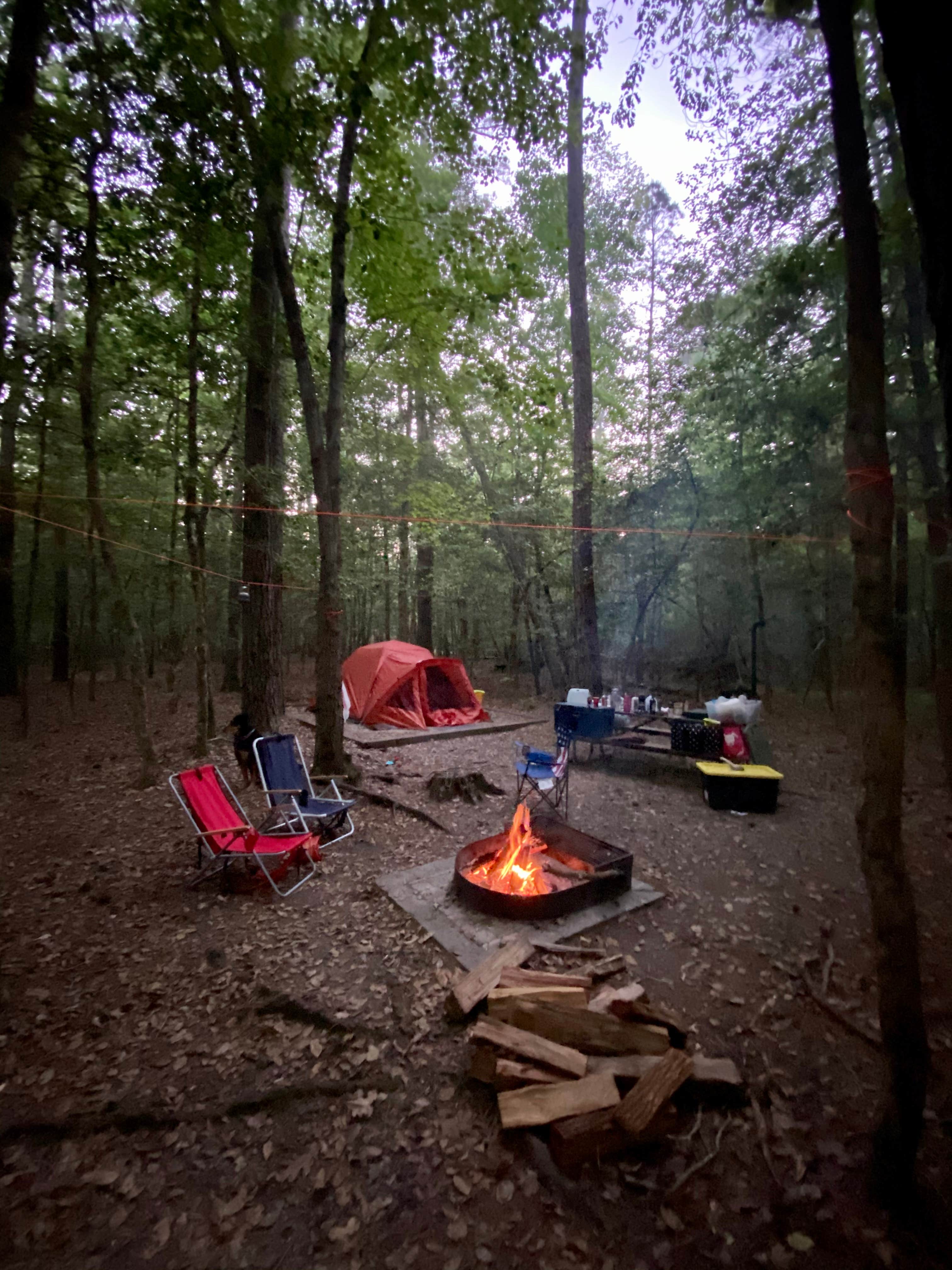 mark C.'s photo at Merchants Millpond Canoe-In Campground — Merchants Millpond State Park near Creswell, NC