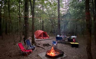 mark C.'s photo at Merchants Millpond Canoe-In Campground — Merchants Millpond State Park near Suffolk, VA